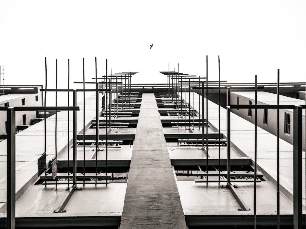 pexels-photo-31250613-31250613.jpg